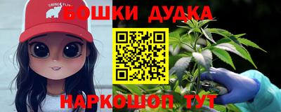 гидра Дубна