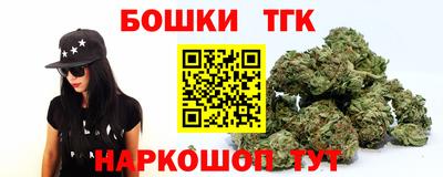 гидра Дубна