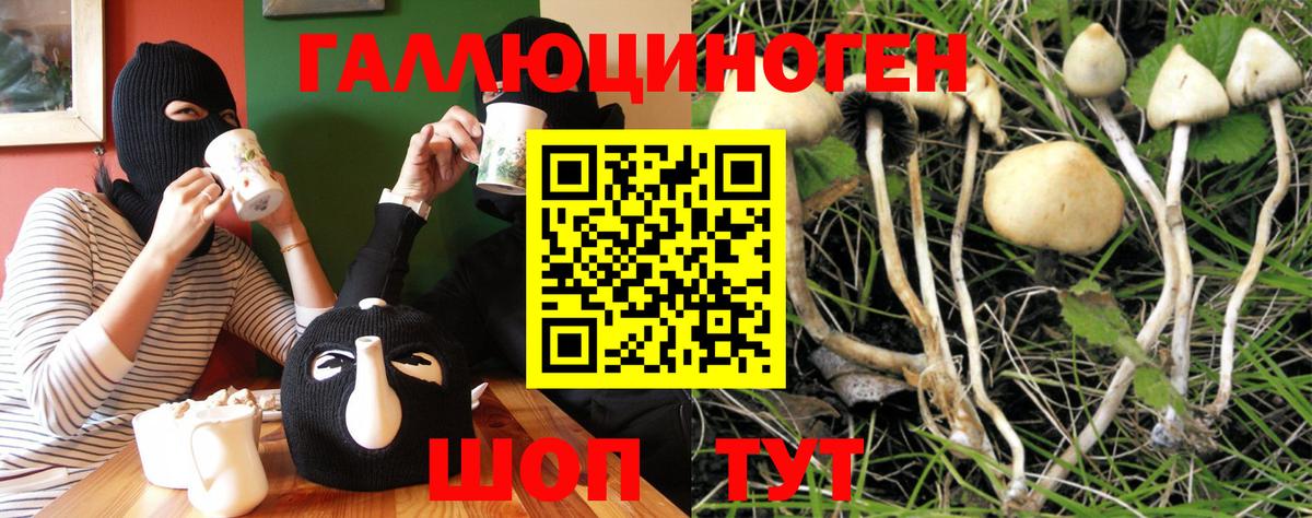 Псилоцибиновые грибы мицелий  Вход с VPN  Тейково 