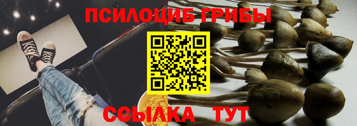 Псилоцибиновые грибы MAGIC MUSHROOMS Тейково